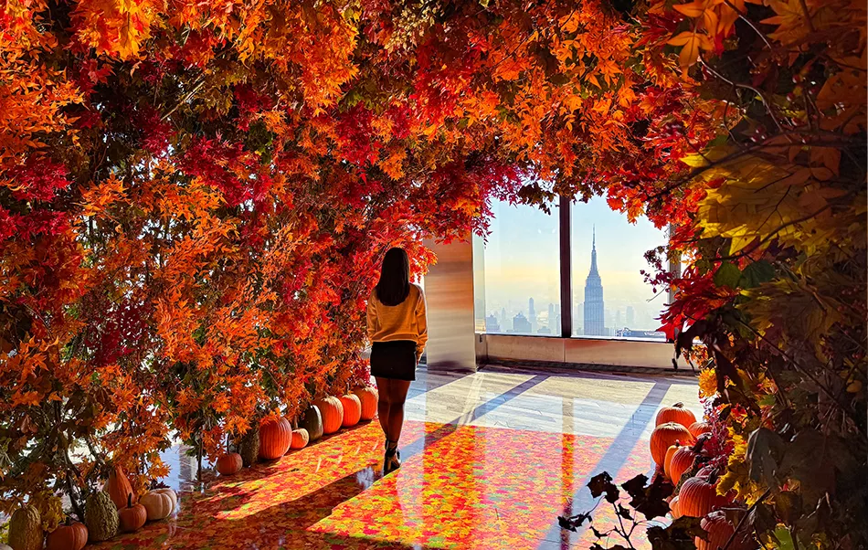 Autumn in the Sky